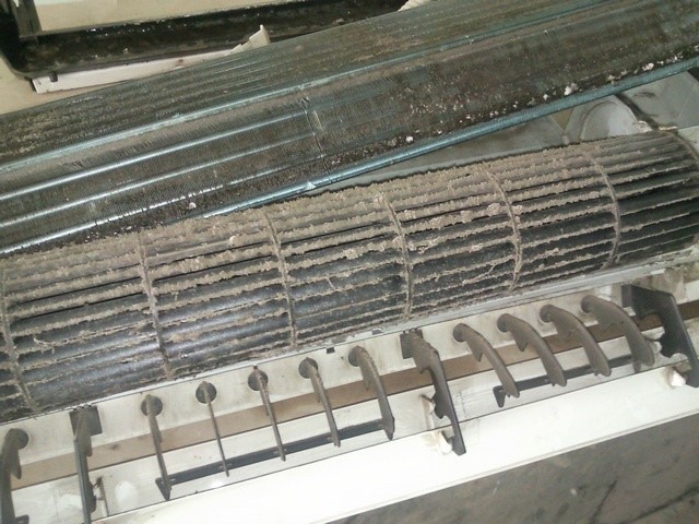 Кондиционер воняет: как избавиться от запаха плесени?